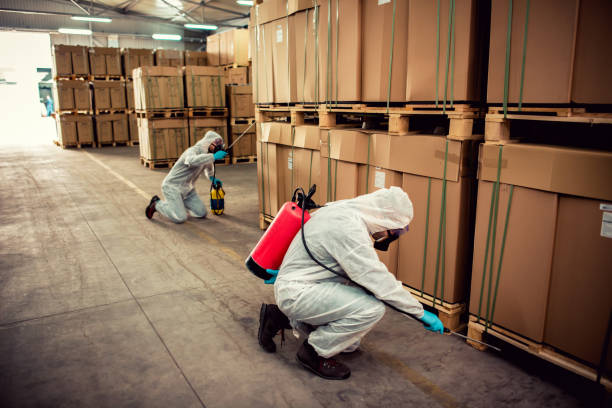 Best Exterminator Services  in Richmond, MN