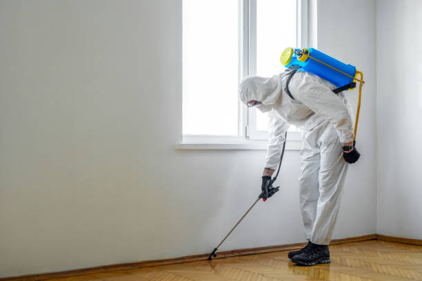 Best Flea Control Services  in Richmond, MN