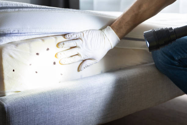 Best Exterminator Services  in Richmond, MN
