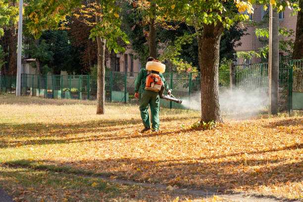 Best Bird Control  in Richmond, MN