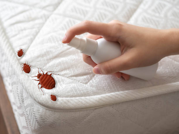 Best Local Pest Control Services  in Richmond, MN