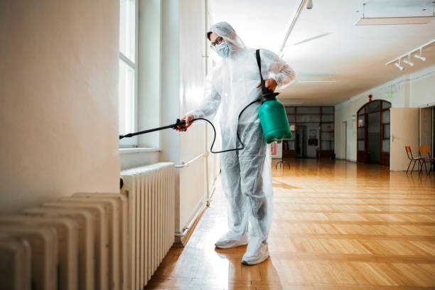Best Ant Control Services  in Richmond, MN