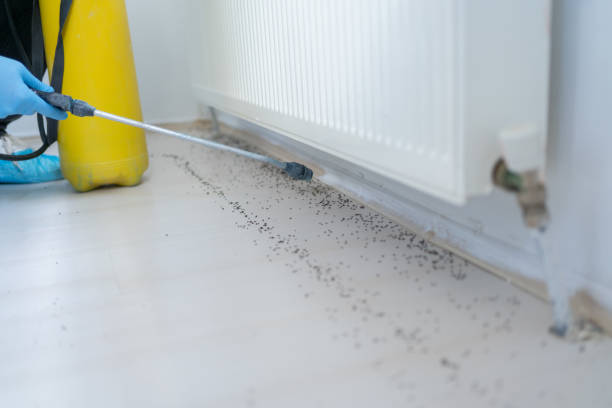 Best Mosquito Control Services  in Richmond, MN