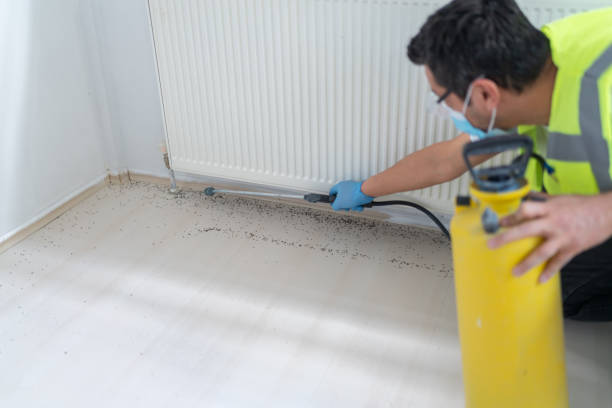 Best Commercial Pest Control Services  in Richmond, MN