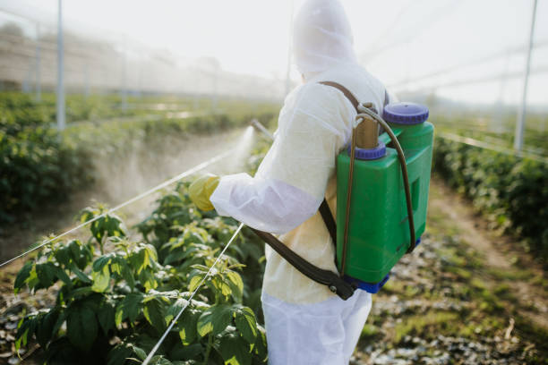 Best Pest Prevention Services  in Richmond, MN